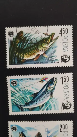 Sellos Polonia Peces - lote 14