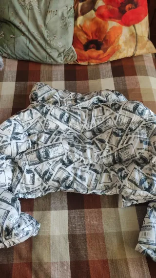 Piumino corto stampa banconote