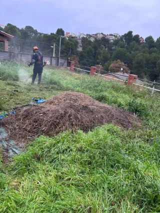 Jardinero Servicios de desbroce y poda