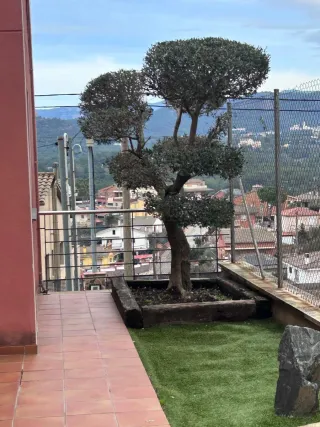 Jardinero Servicios de desbroce y poda