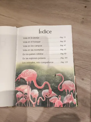 Historias de animales