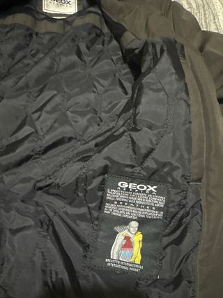 Chaqueta Geox Marrón Hombre
