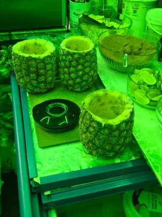 Camareros para eventos