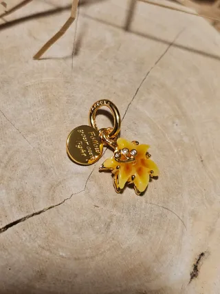 Charm Flor Mágica Rapunzel