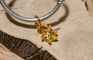 Charm Flor Mágica Rapunzel