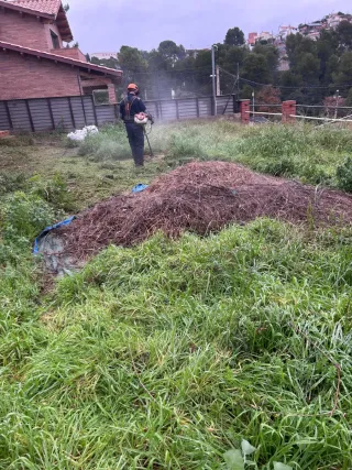 Tala, poda y desbroce