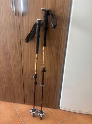 Esquís de travesía / montaña / rando Fischer 169cm