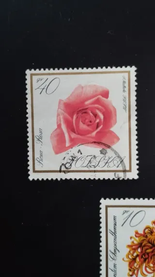 Sellos Flores Polonia - lote 16