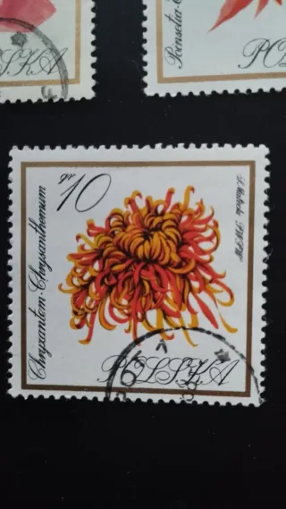Sellos Flores Polonia - lote 16