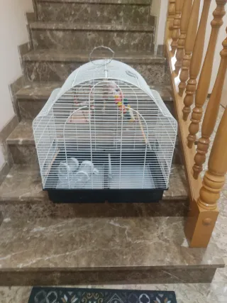 Jaula grande para pájaros