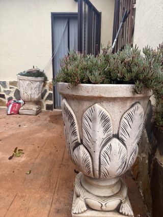 Macetas de piedra decoradas