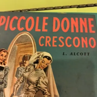 La piccola Dorrit  Piccole donne crescono