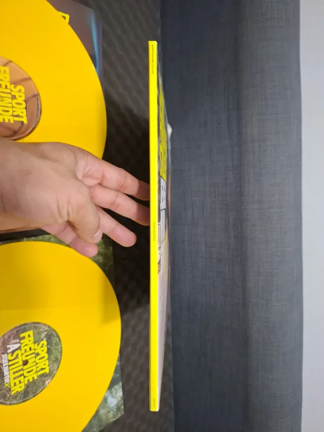 Vinilo Sportfreunde Stiller - Jeder nur ein X