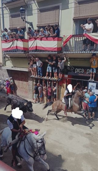 Pica&pica 24h Segorbe