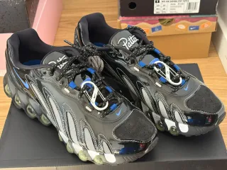 Nike Air Max Dn8 x Patta Negro/Azul