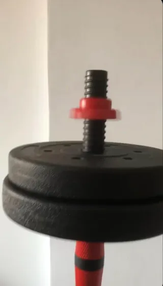 Pesas ajustables 19kg