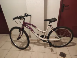 Bicicleta juvenil