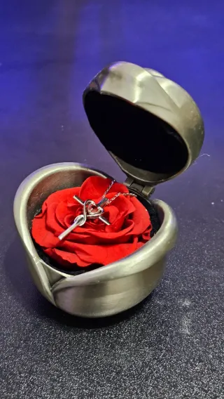 Colgante Cruz Corazón Cristal Rojo Plata