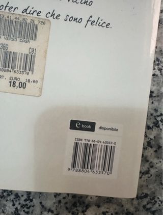 La strada verso casa (Italian Edition)