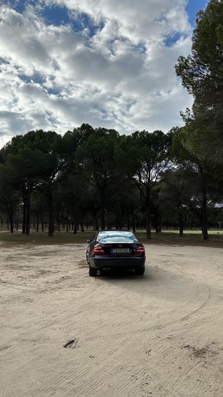 Mercedes-Benz CLK 2004