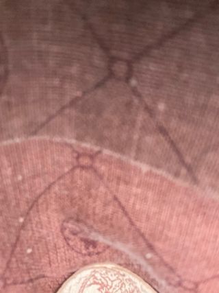 Bolso El Potro auténtico