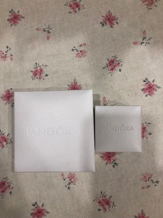 Pulsera Pandora Plata 1ª Ley