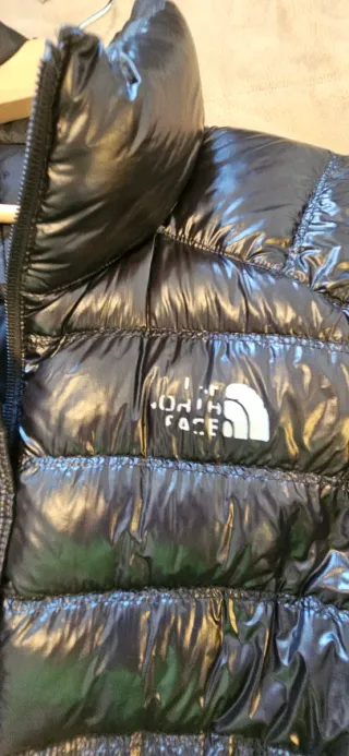 The North Face Summit Series Plumas Negro