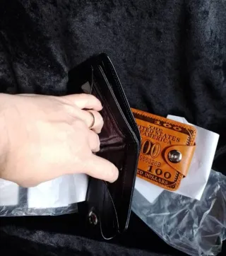 Portafogli con design da 100 dollari