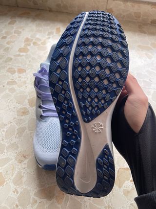 Nike Air Zoom Pegasus 41 Azul/Morado