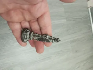 Piccola scultura guerriero con scudo