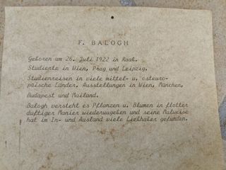 Cuadro Óleo Naturaleza Muerta Floral