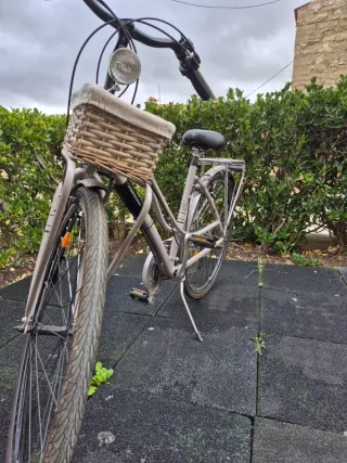 Bicicleta urbana con cesta