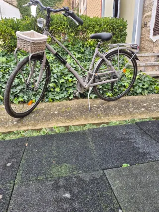 Bicicleta urbana con cesta