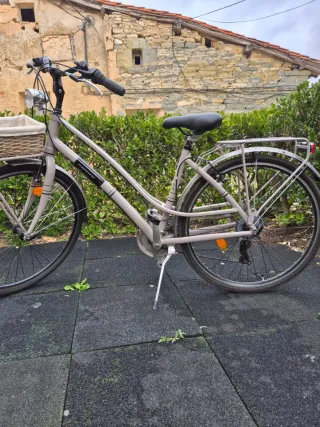 Bicicleta urbana con cesta
