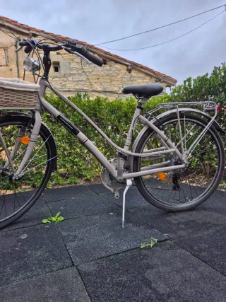 Bicicleta urbana con cesta