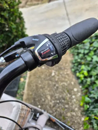 Bicicleta urbana con cesta