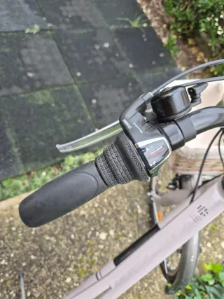 Bicicleta urbana con cesta