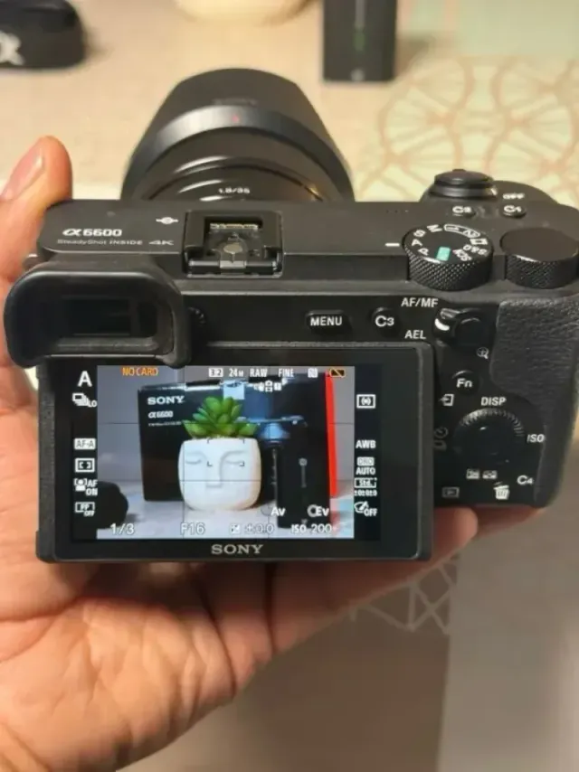 Sony A6600 IMPECABLE
