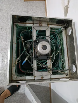 Tirador Cerveza Moritz Barcelona