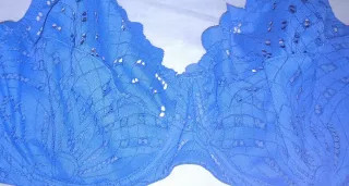 Sujetador azul encaje
