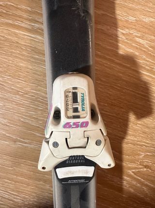 Esquís Fischer DRS 100