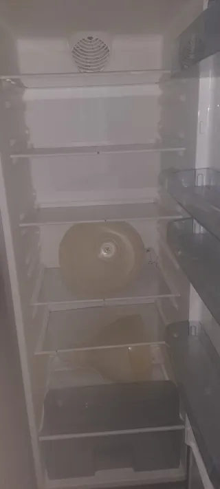 Horno y nevera por mudanza