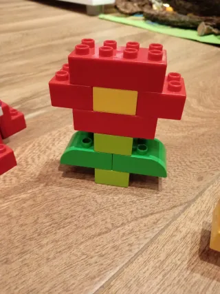 Lego Duplo Evoluzione