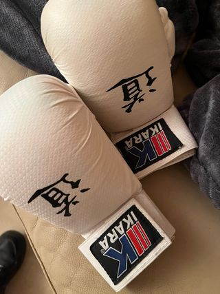 Protecciones Karate IKARA