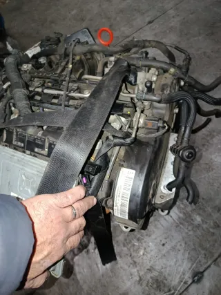 Motor Volkswagen 1.6 TDI con 30 días de garantía