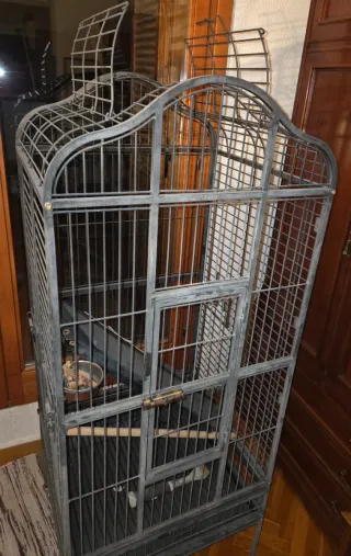 Jaula para pájaros grande