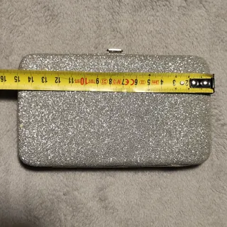 Cartera de fiesta plateada brillante