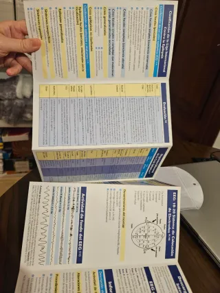 Tríptico completo sobre epilepsia