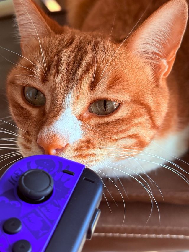 (NUEVO) Switch OLED Splatoon 3 Edición Limitada