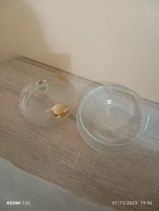 Porta oggetti in cristallo con coperchio